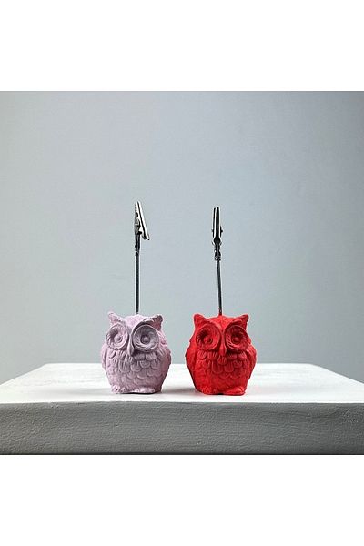 oasis decoration Owl Note Holder Set of 2 (pink - Coral)