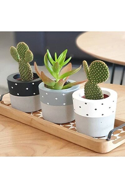 Genel Markalar Hediyelik Beton Saksı Seti – Sukulent– Kaktüs– Dekoratif Eşya-...