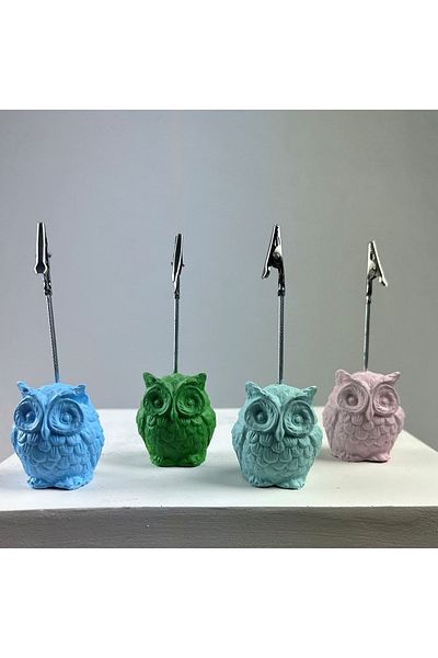 oasis decoration Owl Note Holder Set of 4 (Light Blue - Pink - Mint - Green)