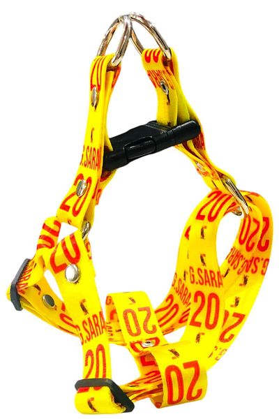 Angelapets Dog Collar (Chest Collar) Walking Strap Set
