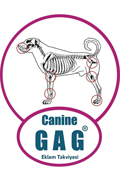 PROMAMA G.a.g Eklem Destekli Kuzu Etli Yavru Köpek Maması