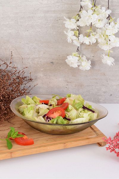 ANGDESİGN Angdesign Rays Oval Glass Salad Bowl-large-smoked with Luster