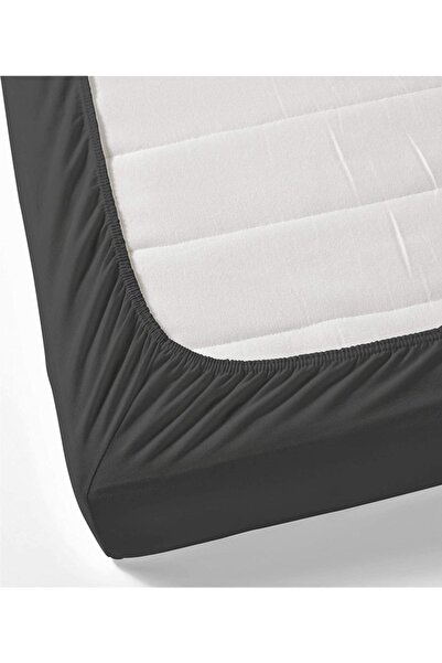 LADYNİL Anthracite Single Elastic Combed Cotton Sheet - 100% Cotton