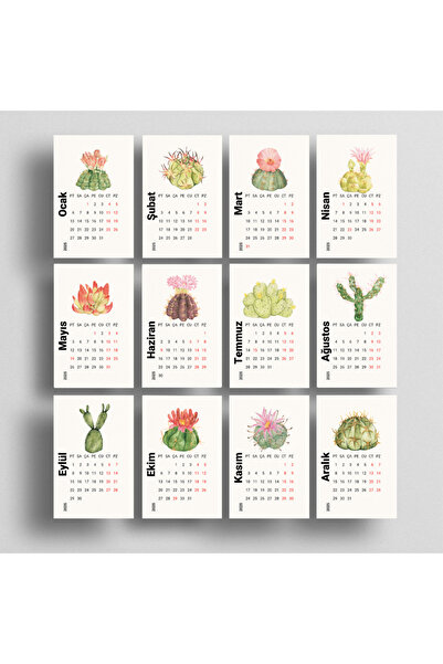 Dikkat Ajans 2025 Mini Takvim Kaktüs (2 ad)