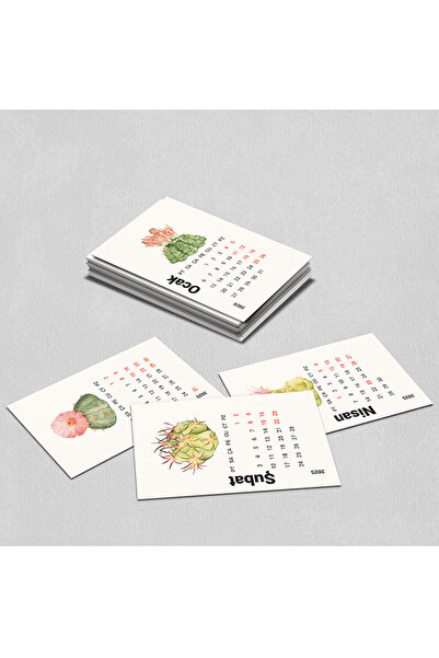 Dikkat Ajans 2025 Mini Takvim Kaktüs (2 ad)