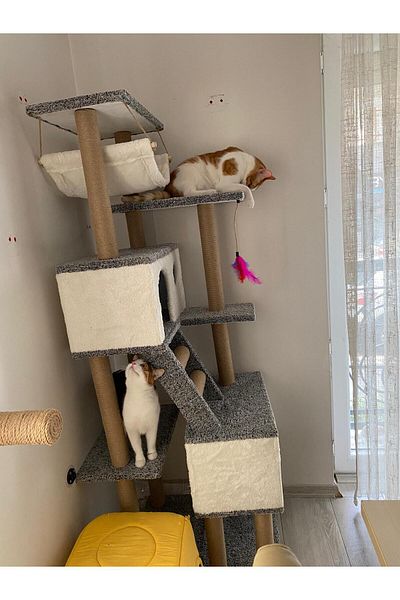pethomealpi Luxury Cat Scratching House and Play Platform - with Hammock and Nest