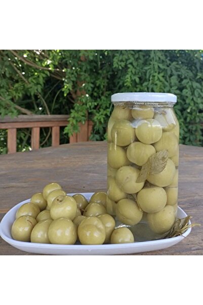 DEFNE KADIN KOOPERATİFİ Yeşil Erik Turşusu 530 gr