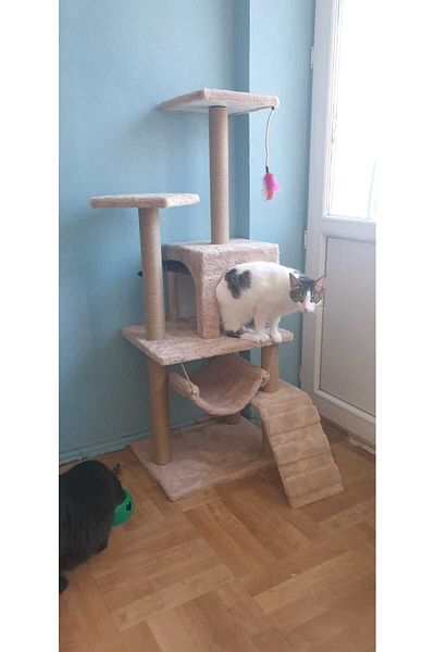 pethomealpi Luxury Cat Scratching House and Play Platform - with Hammock and Nest