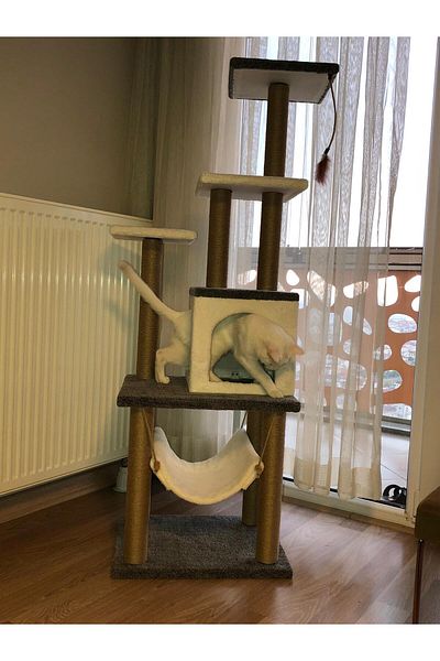 pethomealpi Luxury Cat Scratching and Play Platform - with Hammock and Nest