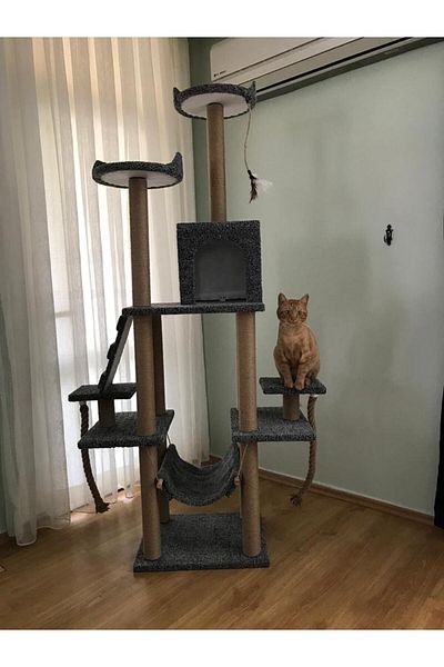 pethomealpi Luxury Cat Scratching and Play Platform - with Hammock and Nest
