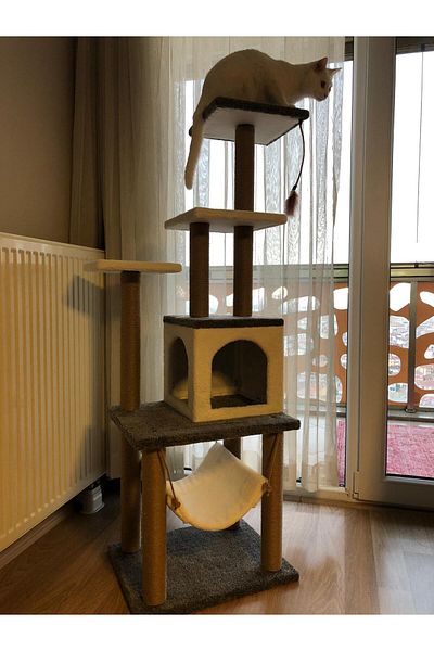 pethomealpi Luxury Cat Scratching and Play Platform - with Hammock and Nest