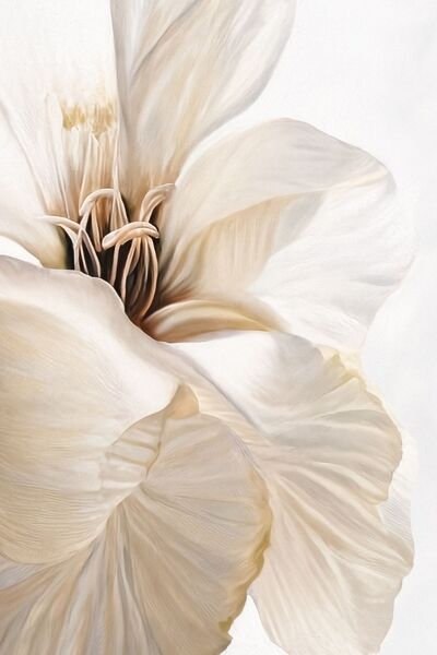 Harikabirev HARİKABİREV|KREM-BEYAZ ÇİÇEKLER KOMBİNİ 2|ÇERÇEVELİ CAM TABLO 2Lİ DİKEY