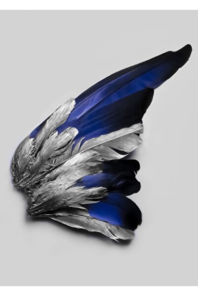 Harikabirev HARİKABİREV|LACİVERT-GÜMÜŞ TÜY VE KELEBEK KANAT KOMBİN |ÇERÇEVELİ CAM TABLO 3LÜ DİKEY