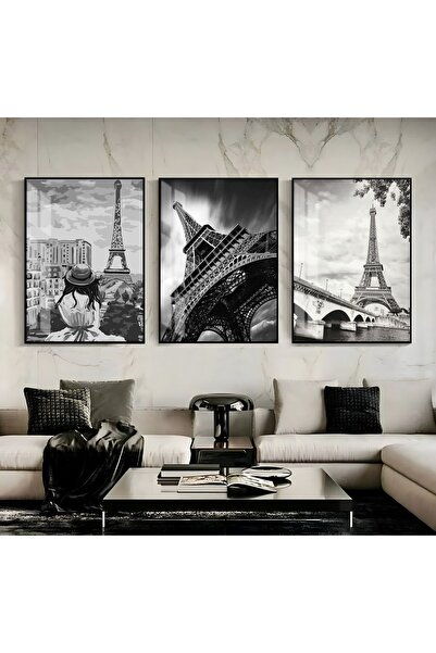 Harika bir ev Hari̇kabi̇rev | Black-White Most Stylish Eiffel Tower Combinati...