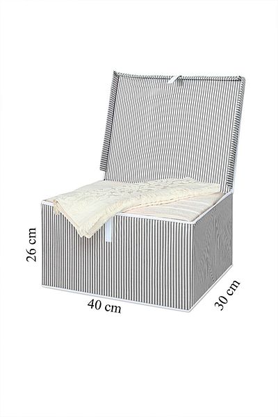 Nisahometeks Mini Box Storage Bag 40 X 30 X 26 Cm (GREY)