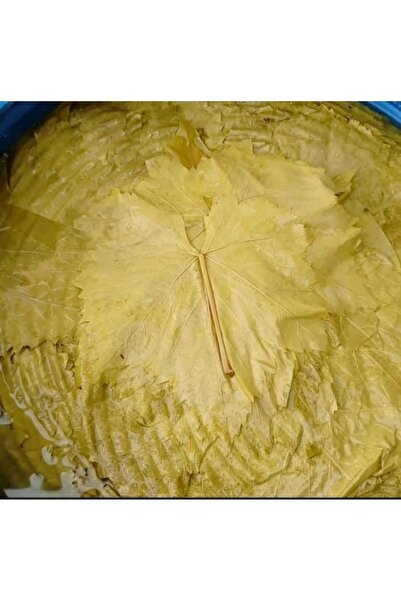 TANSU ŞAHAL MANİSA ALAŞEHİR 1.KALİTE SALAMURA ASMA YAPRAĞI 3LT