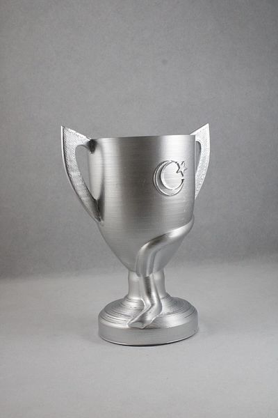 BZ TEKNOLOJİ 3D Διακόσμηση δώρου Ziraat Türkiye Cup 20 cm Μεταλλικό Ασημί Χρώμα