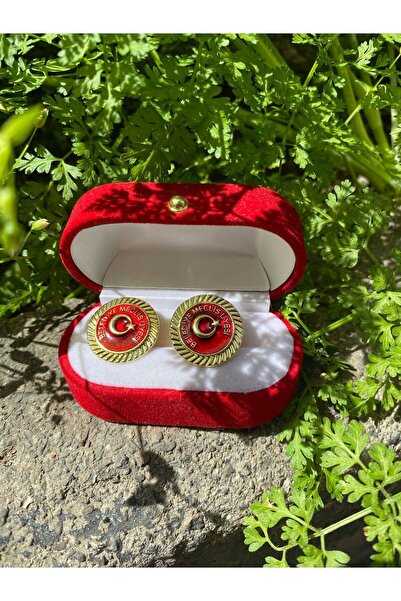 ÖZDOĞAN Belediye Meclis Üyesi Yaka Rozeti 1 Adet