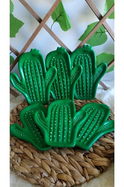 evdeki atölyem 6 Lı Kaktüs Sunumluk