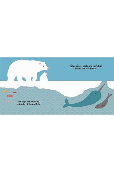 Kolektif Kitap Eco Baby: Ice Caps| 0-3 Years Old Children's Illustrated English Book