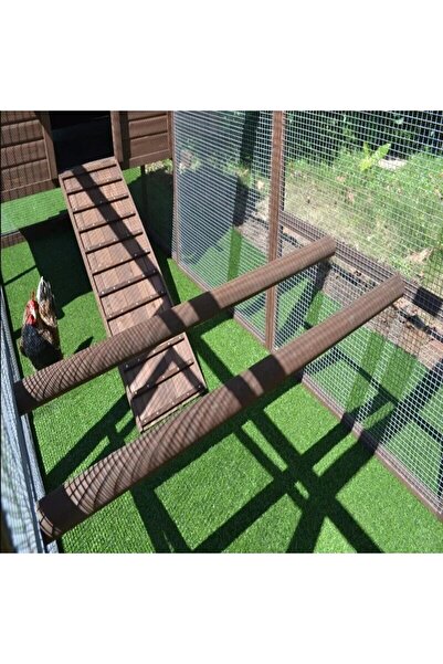 kemirgen market Ahşap Tavuk Kümesi | Pingui | Woodzanya