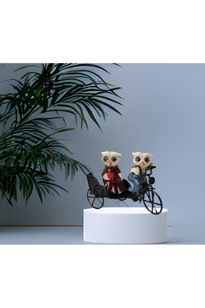 e-life shop Bisiklet İle Gezen Aşık Baykuş Çift Biblo Heykel Ev Ofis Yeni Yıl...