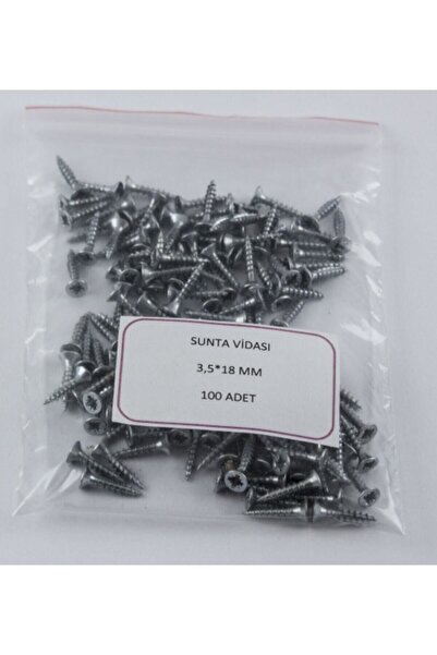 Meridyen 3,5*18 Sunta Vidası ( 100 Adet )