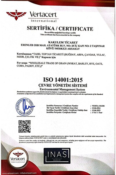 Kakulem SERTİFİKALI Premium Kavrulmuş Tuzsuz Ay Çekirdeği 1 KG