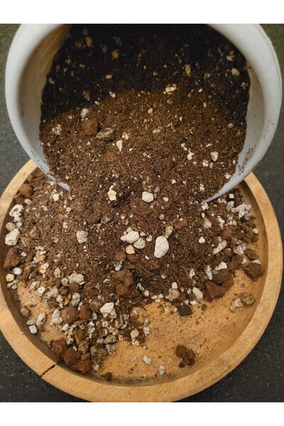 toprak Kaktüs Sukulent Toprağı 5 Litre- Yüksek Kalite, İthal Torf Karışımlı