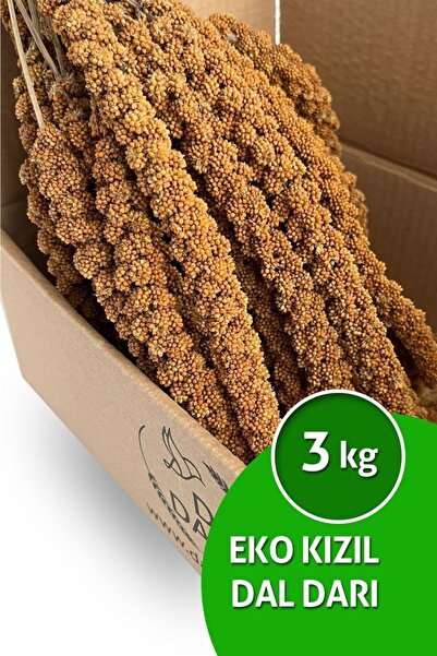 Dal Darı Net Kızıl Dal Darı Eko 3 Kg Muhabbet Kuş Yemi Kızıl Daldarı