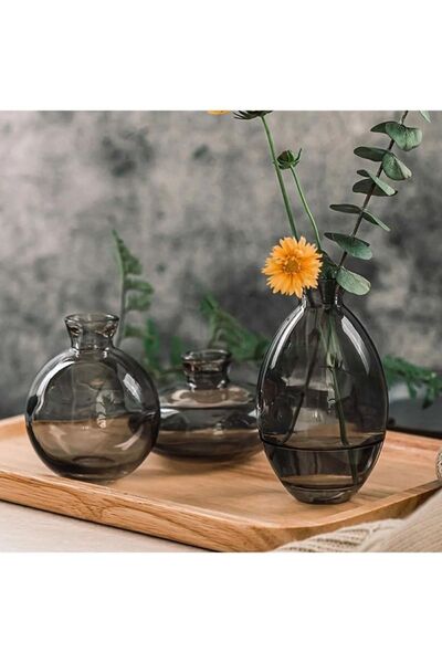 Binbirdemet 3-Piece Gray Glass Vase Set