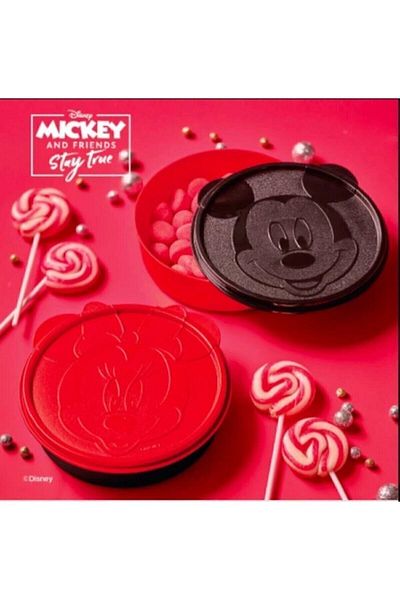 Tupperware Minnie & Mickey Mouse 2-Piece Food Storage Set (MULTI-PURPOSE PLATE AND STORAGE BOWL)