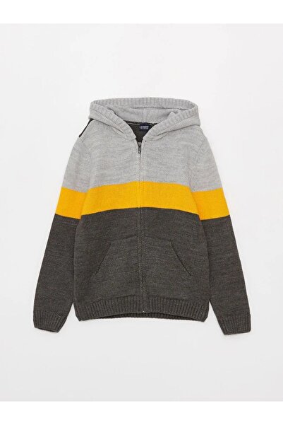 LC Waikiki Hooded Color Blocked Long Sleeve Boy's Knitwear Cardigan