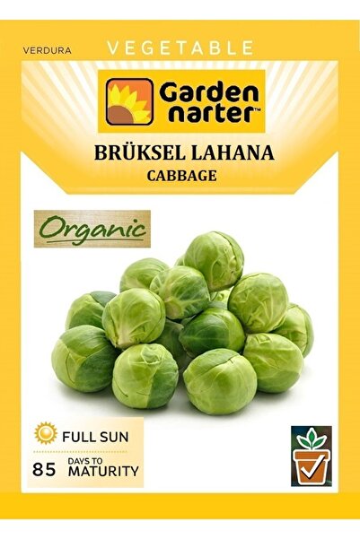 GARDEN NARTER Brüksel Lahana Tohumu Doğal Organik Lahana Tohumu Pakette 30 Tohum