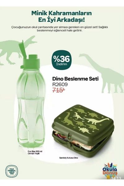 Tupperware 500 ml Water Bottle and Sandwich Box