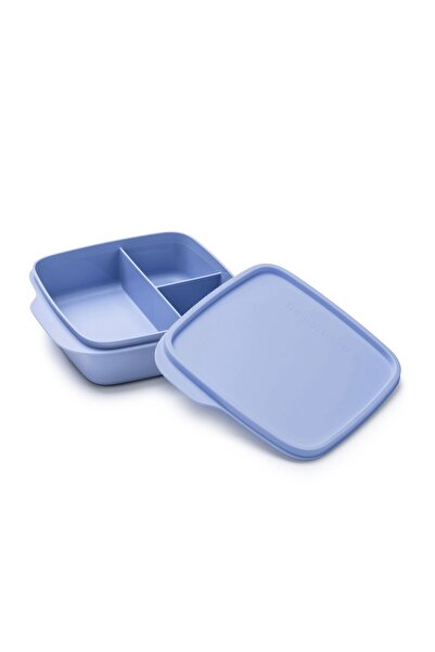 Tupperware Eco 550 ml Bölmeli Beslenme kabı Böğürtlen
