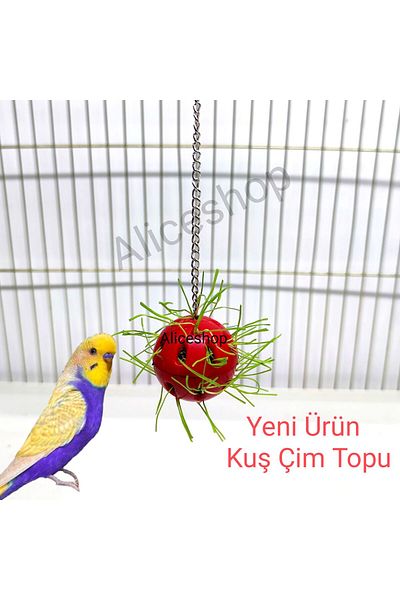 aliceshop Sultan Sevda Bird Grass Ball for Paradise Budgie Etc.