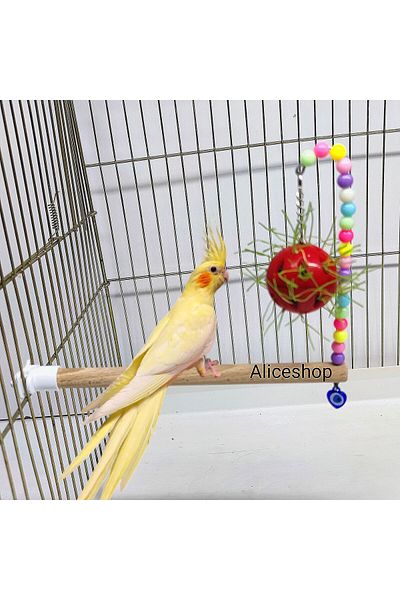 aliceshop Cage Bird Grass Ball with Perch - for