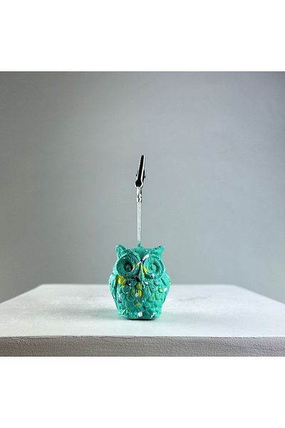 oasis decoration Ice Green Splash Owl Note Holder