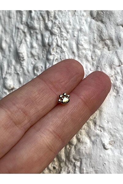 ds denizden silver Tekli Gümüş Minimal Pati Küpe - 1 Adet