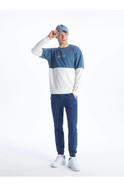 LC Waikiki Lcw Casual Oil Crew Neck Long Sleeve Color-Blocking Men's Sweatshirt
