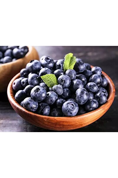 Genel Markalar Yaban Mersini 125 G