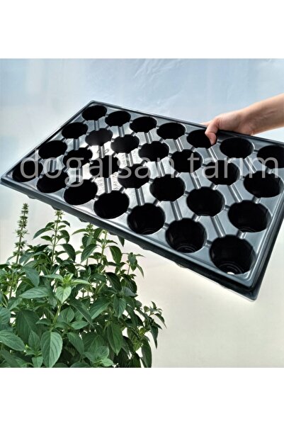 Doğalsan Tarım Fide Viyolü 28 Göz 3 Adet Fide Viyol Fide Viyolleri Fide Yetiş...