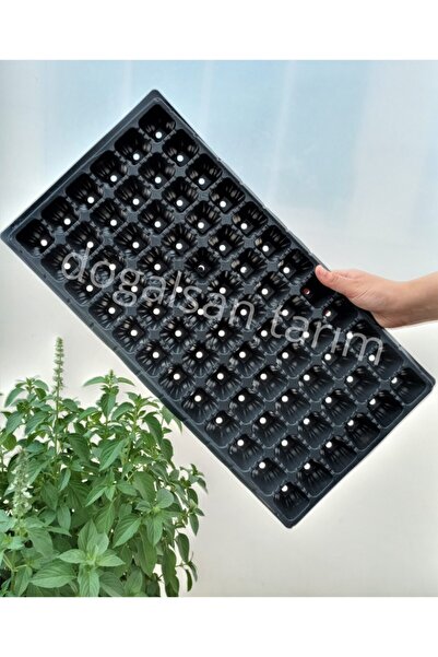 Doğalsan Tarım Fide Viyolü 72 Göz 3 Adet Fide Viyol Fide Viyolleri Fide Yetiş...