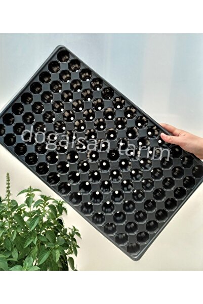 Doğalsan Tarım Fide Viyolü 104 Göz 2 Adet Fide Viyol Fide Viyolleri Fide Yeti...