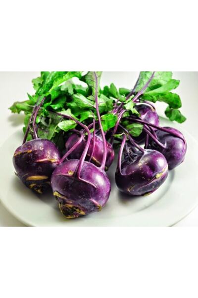 GARDENYA TOHUMCULUK Alabaş Mor Turp - 50 Adet