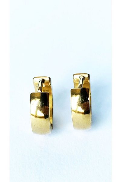 axexuar Gold Yellow Color Curved Hoop 316l Steel Earrings Unisex Women Men