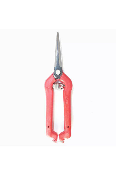 Skygo مقص تريند للعنب والحمضيات ذو طرف مدبب