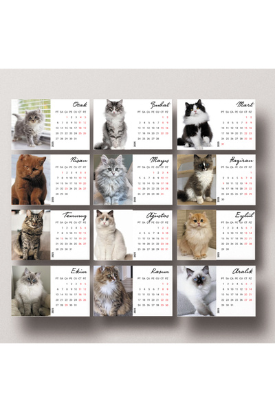 Dikkat Ajans 2025  Kedi  mini takvimi  (2 set)