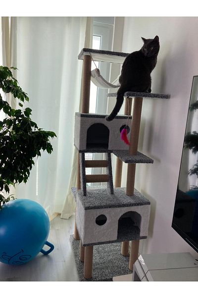 pethomealpi Luxury Cat Scratching House and Play Platform - with Hammock and Nest